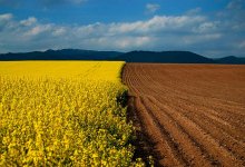 Сельхозземли по закону никто не может продать иностранцам – Берик Оспанов, глава аграрного совета при Nur Otan