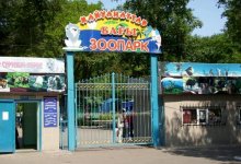 Почти 200 зверей в зоопарке Караганды признаны бракованными