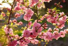 Погода на майские праздники в Казахстане: ожидается жара