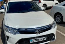 Чиновник извинился за сына, который сбил подростка в центре Нур-Султана