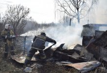 Пожар на дачах в Кокшетау: огнем уничтожены домики и все насаждения