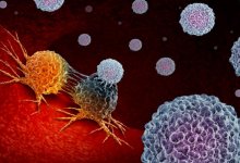 Ученые нашли вещество, которое останавливает рак мозга