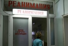 Карагандинец убил известного активиста на субботнике по посадке деревьев