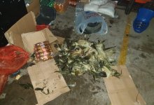 "Там наверняка и крысы есть": В Казнете ужаснулись от условий хранения продуктов в павильонах Нур-Султана