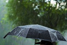 Грозы, шквал и жару обещают синоптики в Казахстане