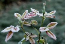 В Казахстане сильно похолодает