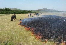 Активная помощь от граждан