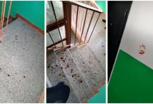 Отрезанный половой орган: в полиции ЗКО ответили на странную рассылку казахстанцев