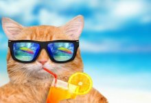 40-градусная жара придет в Казахстан 25-27 мая