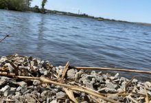 В Казахстане спадет жара. Этому поможет холод из Арктики