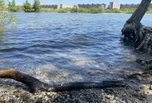 Казахстанцам можно забыть о зонтиках - синоптики о погоде на выходных