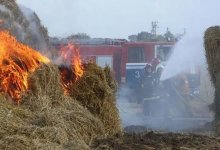 Тонны сена и ячменя сгорели из-за молнии в ЗКО