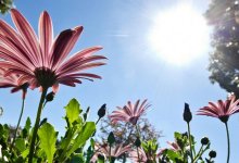 Какими будут первые дни лета в Казахстане: прогноз погоды на 1-3 июня