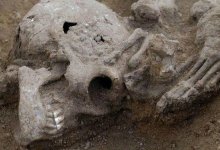 В Англии нашли захоронение обезглавленных тел - головы лежали у ног скелетов
