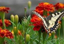 Какая погода ждет казахстанцев в июне