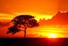 Жару до 43 градусов и грозы с градом обещают синоптики в Казахстане