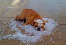 Дожди с грозами и сильная жара прогнозируются 8 июня в Казахстане