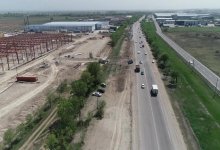 В Алматы разгорелся новый скандал с вырубкой деревьев