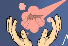 В Павлодаре, Уральске и Атырау потратили миллиарды на комаров, но меньше их не стало