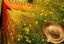 Сколько дней отдохнут казахстанцы в июле 2021 года