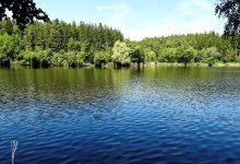 Река унесла восьмилетнюю девочку в СКО