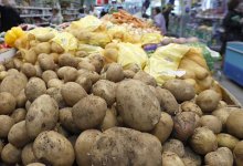 В огромных ценах на картофель в Казахстане виновата Россия