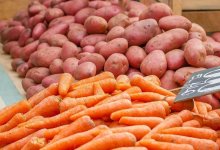 Картофеля и моркови в Казахстане почти нет. Цены будут расти