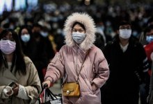 В Китае обнаружили 24 новых вида коронавируса