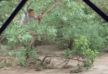 За 10 секунд смыло весь наш лагерь: новый сель сошел на Чарыне