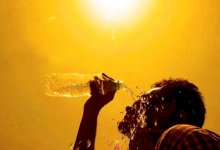 Сильная жара ожидается в половине областей Казахстана 15 июня