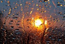 В Казахстане 16 июня ожидаются жара в 40 градусов и дожди с грозами