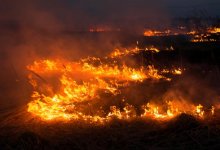 Штормовое предупреждение: почти по всему Казахстану объявлена пожарная опасность