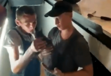 В Актау водитель авто ездил по городу и не замечал, что в решетке радиатора его машины застрял котенок