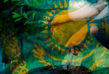 Власти обещают высадить в Казахстане два миллиарда деревьев к 2025 году. Реально ли это