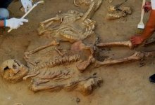 Сенсационная находка: на западе Казахстана обнаружили воинов эпохи железного века