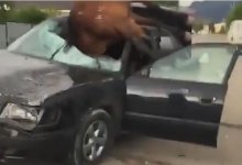 Жестокое ДТП в Алматинской области: лошадь пробила головой лобовое стекло машины