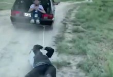 Туркестанец привязал друга к машине и протащил по дороге