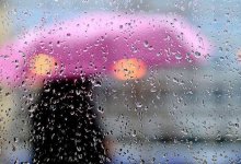 Грозовой уикенд пообещали синоптики казахстанцам