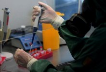 Вакцинироваться от коронавируса можно при любом уровне антител – ВОЗ