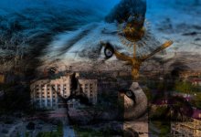 Полицейские нашли владельца захороненного в Караганде льва