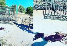 В Темиртау ребенка задавило забором детского сада