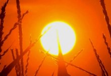 Пожарная опасность: в 10 областях Казахстана объявили штормовое предупреждение