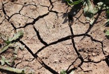 В Казахстане второй месяц подряд ожидается экстремальная засуха