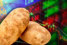 Токаев поручил разобраться с высокими ценами на продукты