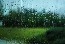 Дожди и грозы прогнозируют в 10 областях Казахстана