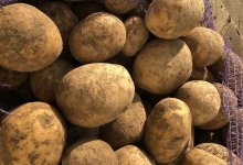 Султанов не считает себя виноватым в росте цен на картофель и морковь