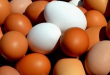 Почему яйца в Казахстане могут подорожать до тысячи тенге за десяток