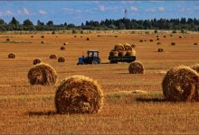 Корма про запас