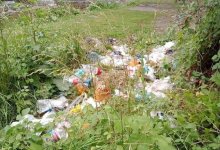 Сельчане в Алматинской области пили воду с трупными червями