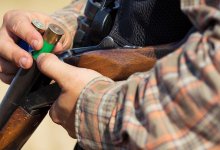 68-летний мужчина застрелил собаку на глазах у детей в Алматинской области